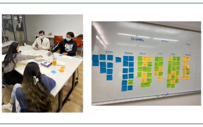 Flourish: User Research