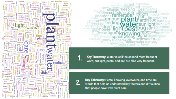 Quantitative-survey-wordcloud